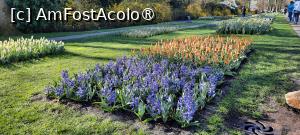 [P48] Grădinile Keukenhof, Pe alei » foto by mprofeanu
 - 
<span class="allrVoted glyphicon glyphicon-heart hidden" id="av1481608"></span>
<a class="m-l-10 hidden" id="sv1481608" onclick="voting_Foto_DelVot(,1481608,11516)" role="button">șterge vot <span class="glyphicon glyphicon-remove"></span></a>
<a id="v91481608" class=" c-red"  onclick="voting_Foto_SetVot(1481608)" role="button"><span class="glyphicon glyphicon-heart-empty"></span> <b>LIKE</b> = Votează poza</a> <img class="hidden"  id="f1481608W9" src="/imagini/loader.gif" border="0" /><span class="AjErrMes hidden" id="e1481608ErM"></span>