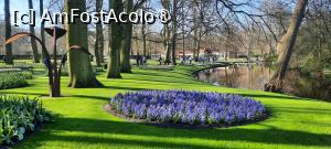 [P49] Grădinile Keukenhof, Pe alei » foto by mprofeanu
 - 
<span class="allrVoted glyphicon glyphicon-heart hidden" id="av1481609"></span>
<a class="m-l-10 hidden" id="sv1481609" onclick="voting_Foto_DelVot(,1481609,11516)" role="button">șterge vot <span class="glyphicon glyphicon-remove"></span></a>
<a id="v91481609" class=" c-red"  onclick="voting_Foto_SetVot(1481609)" role="button"><span class="glyphicon glyphicon-heart-empty"></span> <b>LIKE</b> = Votează poza</a> <img class="hidden"  id="f1481609W9" src="/imagini/loader.gif" border="0" /><span class="AjErrMes hidden" id="e1481609ErM"></span>