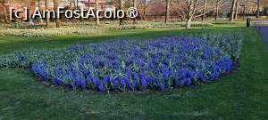 [P05] Grădinile Keukenhof, Pe alei » foto by mprofeanu
 - 
<span class="allrVoted glyphicon glyphicon-heart hidden" id="av1481565"></span>
<a class="m-l-10 hidden" id="sv1481565" onclick="voting_Foto_DelVot(,1481565,11516)" role="button">șterge vot <span class="glyphicon glyphicon-remove"></span></a>
<a id="v91481565" class=" c-red"  onclick="voting_Foto_SetVot(1481565)" role="button"><span class="glyphicon glyphicon-heart-empty"></span> <b>LIKE</b> = Votează poza</a> <img class="hidden"  id="f1481565W9" src="/imagini/loader.gif" border="0" /><span class="AjErrMes hidden" id="e1481565ErM"></span>