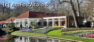 [P52] Grădinile Keukenhof, Pavilionul Wilhelmina » foto by mprofeanu
 - 
<span class="allrVoted glyphicon glyphicon-heart hidden" id="av1481612"></span>
<a class="m-l-10 hidden" id="sv1481612" onclick="voting_Foto_DelVot(,1481612,11516)" role="button">șterge vot <span class="glyphicon glyphicon-remove"></span></a>
<a id="v91481612" class=" c-red"  onclick="voting_Foto_SetVot(1481612)" role="button"><span class="glyphicon glyphicon-heart-empty"></span> <b>LIKE</b> = Votează poza</a> <img class="hidden"  id="f1481612W9" src="/imagini/loader.gif" border="0" /><span class="AjErrMes hidden" id="e1481612ErM"></span>
