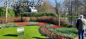 [P53] Grădinile Keukenhof, Aproape de Pavilionul Wilhelmina » foto by mprofeanu
 - 
<span class="allrVoted glyphicon glyphicon-heart hidden" id="av1481613"></span>
<a class="m-l-10 hidden" id="sv1481613" onclick="voting_Foto_DelVot(,1481613,11516)" role="button">șterge vot <span class="glyphicon glyphicon-remove"></span></a>
<a id="v91481613" class=" c-red"  onclick="voting_Foto_SetVot(1481613)" role="button"><span class="glyphicon glyphicon-heart-empty"></span> <b>LIKE</b> = Votează poza</a> <img class="hidden"  id="f1481613W9" src="/imagini/loader.gif" border="0" /><span class="AjErrMes hidden" id="e1481613ErM"></span>