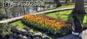 [P58] Grădinile Keukenhof, Pe lângă iaz » foto by mprofeanu
 - 
<span class="allrVoted glyphicon glyphicon-heart hidden" id="av1481618"></span>
<a class="m-l-10 hidden" id="sv1481618" onclick="voting_Foto_DelVot(,1481618,11516)" role="button">șterge vot <span class="glyphicon glyphicon-remove"></span></a>
<a id="v91481618" class=" c-red"  onclick="voting_Foto_SetVot(1481618)" role="button"><span class="glyphicon glyphicon-heart-empty"></span> <b>LIKE</b> = Votează poza</a> <img class="hidden"  id="f1481618W9" src="/imagini/loader.gif" border="0" /><span class="AjErrMes hidden" id="e1481618ErM"></span>