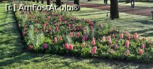 [P06] Grădinile Keukenhof, Pe alei » foto by mprofeanu
 - 
<span class="allrVoted glyphicon glyphicon-heart hidden" id="av1481566"></span>
<a class="m-l-10 hidden" id="sv1481566" onclick="voting_Foto_DelVot(,1481566,11516)" role="button">șterge vot <span class="glyphicon glyphicon-remove"></span></a>
<a id="v91481566" class=" c-red"  onclick="voting_Foto_SetVot(1481566)" role="button"><span class="glyphicon glyphicon-heart-empty"></span> <b>LIKE</b> = Votează poza</a> <img class="hidden"  id="f1481566W9" src="/imagini/loader.gif" border="0" /><span class="AjErrMes hidden" id="e1481566ErM"></span>