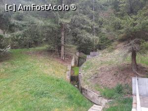 [P18] Vedere spre pădure » foto by roxxie
 - 
<span class="allrVoted glyphicon glyphicon-heart hidden" id="av1482542"></span>
<a class="m-l-10 hidden" id="sv1482542" onclick="voting_Foto_DelVot(,1482542,11553)" role="button">șterge vot <span class="glyphicon glyphicon-remove"></span></a>
<a id="v91482542" class=" c-red"  onclick="voting_Foto_SetVot(1482542)" role="button"><span class="glyphicon glyphicon-heart-empty"></span> <b>LIKE</b> = Votează poza</a> <img class="hidden"  id="f1482542W9" src="/imagini/loader.gif" border="0" /><span class="AjErrMes hidden" id="e1482542ErM"></span>