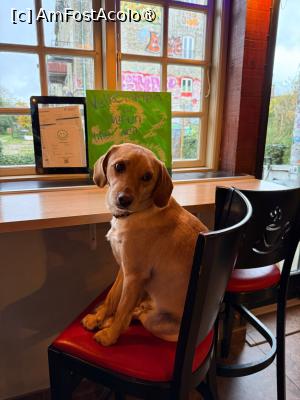 [P09] Café Nemoland » foto by adso
 - 
<span class="allrVoted glyphicon glyphicon-heart hidden" id="av1507343"></span>
<a class="m-l-10 hidden" id="sv1507343" onclick="voting_Foto_DelVot(,1507343,11635)" role="button">șterge vot <span class="glyphicon glyphicon-remove"></span></a>
<a id="v91507343" class=" c-red"  onclick="voting_Foto_SetVot(1507343)" role="button"><span class="glyphicon glyphicon-heart-empty"></span> <b>LIKE</b> = Votează poza</a> <img class="hidden"  id="f1507343W9" src="/imagini/loader.gif" border="0" /><span class="AjErrMes hidden" id="e1507343ErM"></span>