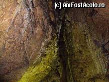[P18] Prima sală a peșterii poartă numele de Mihnea Vodă, având următoarele dimensiuni: lungimea de 115 m, lățimea de 15 m și înălțimea de 10-25 m. Înainte de 1924, prin această grotă curgea Râul Peșterii. Astăzi, pârâul intră în subteran înainte de a ajunge la grotă și se varsă mult mai jos, în Ialomița. » foto by LaurentiuMan
 - 
<span class="allrVoted glyphicon glyphicon-heart hidden" id="av330285"></span>
<a class="m-l-10 hidden" id="sv330285" onclick="voting_Foto_DelVot(,330285,11774)" role="button">șterge vot <span class="glyphicon glyphicon-remove"></span></a>
<a id="v9330285" class=" c-red"  onclick="voting_Foto_SetVot(330285)" role="button"><span class="glyphicon glyphicon-heart-empty"></span> <b>LIKE</b> = Votează poza</a> <img class="hidden"  id="f330285W9" src="/imagini/loader.gif" border="0" /><span class="AjErrMes hidden" id="e330285ErM"></span>