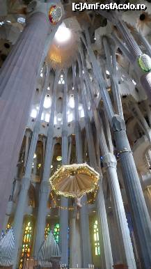 [P43] 40. Sagrada Familia. Interiorul arborescent » foto by nickro
 - 
<span class="allrVoted glyphicon glyphicon-heart hidden" id="av318551"></span>
<a class="m-l-10 hidden" id="sv318551" onclick="voting_Foto_DelVot(,318551,11797)" role="button">șterge vot <span class="glyphicon glyphicon-remove"></span></a>
<a id="v9318551" class=" c-red"  onclick="voting_Foto_SetVot(318551)" role="button"><span class="glyphicon glyphicon-heart-empty"></span> <b>LIKE</b> = Votează poza</a> <img class="hidden"  id="f318551W9" src="/imagini/loader.gif" border="0" /><span class="AjErrMes hidden" id="e318551ErM"></span>