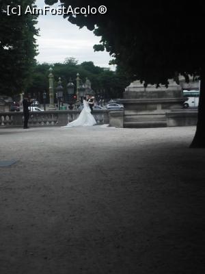 [P19] Jardin de Tuileries, locul potrivit pentru fotografii de nuntă » foto by diacrys*
 - 
<span class="allrVoted glyphicon glyphicon-heart hidden" id="av737735"></span>
<a class="m-l-10 hidden" id="sv737735" onclick="voting_Foto_DelVot(,737735,11886)" role="button">șterge vot <span class="glyphicon glyphicon-remove"></span></a>
<a id="v9737735" class=" c-red"  onclick="voting_Foto_SetVot(737735)" role="button"><span class="glyphicon glyphicon-heart-empty"></span> <b>LIKE</b> = Votează poza</a> <img class="hidden"  id="f737735W9" src="/imagini/loader.gif" border="0" /><span class="AjErrMes hidden" id="e737735ErM"></span>