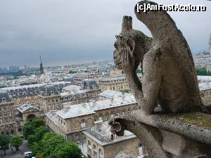 [P04] Paris, Franta. Vizitare Cathedrale Notre Dame de Paris. Daca va veti hotari sa urcati cele 387 de trepte, veti putea admira Parisul dintr-o alta perspectiva, precum si creaturile sculptate ce orneaza La Grande Galerie. Veti vedea si gargui, pe care probabil ii stiti din filme horror, himere si monstri pagani. » foto by vega06
 - 
<span class="allrVoted glyphicon glyphicon-heart hidden" id="av571490"></span>
<a class="m-l-10 hidden" id="sv571490" onclick="voting_Foto_DelVot(,571490,11886)" role="button">șterge vot <span class="glyphicon glyphicon-remove"></span></a>
<a id="v9571490" class=" c-red"  onclick="voting_Foto_SetVot(571490)" role="button"><span class="glyphicon glyphicon-heart-empty"></span> <b>LIKE</b> = Votează poza</a> <img class="hidden"  id="f571490W9" src="/imagini/loader.gif" border="0" /><span class="AjErrMes hidden" id="e571490ErM"></span>