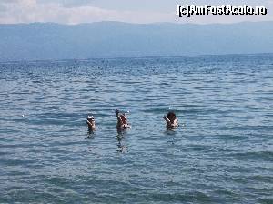 P03 [AUG-2015] Lacul Ohrid si cele trei lebede! 