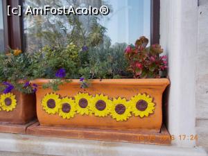 [P04] Flori la intrare in hotel.  » foto by elviramvio
 - 
<span class="allrVoted glyphicon glyphicon-heart hidden" id="av791461"></span>
<a class="m-l-10 hidden" id="sv791461" onclick="voting_Foto_DelVot(,791461,12011)" role="button">șterge vot <span class="glyphicon glyphicon-remove"></span></a>
<a id="v9791461" class=" c-red"  onclick="voting_Foto_SetVot(791461)" role="button"><span class="glyphicon glyphicon-heart-empty"></span> <b>LIKE</b> = Votează poza</a> <img class="hidden"  id="f791461W9" src="/imagini/loader.gif" border="0" /><span class="AjErrMes hidden" id="e791461ErM"></span>