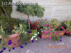 [P05] Tot la intrare.  » foto by elviramvio
 - 
<span class="allrVoted glyphicon glyphicon-heart hidden" id="av791462"></span>
<a class="m-l-10 hidden" id="sv791462" onclick="voting_Foto_DelVot(,791462,12011)" role="button">șterge vot <span class="glyphicon glyphicon-remove"></span></a>
<a id="v9791462" class=" c-red"  onclick="voting_Foto_SetVot(791462)" role="button"><span class="glyphicon glyphicon-heart-empty"></span> <b>LIKE</b> = Votează poza</a> <img class="hidden"  id="f791462W9" src="/imagini/loader.gif" border="0" /><span class="AjErrMes hidden" id="e791462ErM"></span>