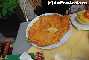 [P18] Viena, ai plecat și nu ai mâncat snitzel?  » foto by unq
 - 
<span class="allrVoted glyphicon glyphicon-heart hidden" id="av482298"></span>
<a class="m-l-10 hidden" id="sv482298" onclick="voting_Foto_DelVot(,482298,12039)" role="button">șterge vot <span class="glyphicon glyphicon-remove"></span></a>
<a id="v9482298" class=" c-red"  onclick="voting_Foto_SetVot(482298)" role="button"><span class="glyphicon glyphicon-heart-empty"></span> <b>LIKE</b> = Votează poza</a> <img class="hidden"  id="f482298W9" src="/imagini/loader.gif" border="0" /><span class="AjErrMes hidden" id="e482298ErM"></span>