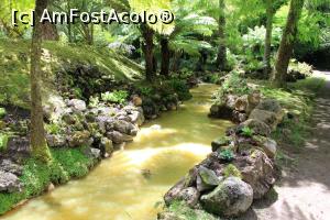 [P49] Insula Sao Miguel, Furnas, Parque Terra Nostra, unul din pârâiașele feruginoase ce alimentează piscina » foto by mprofeanu
 - 
<span class="allrVoted glyphicon glyphicon-heart hidden" id="av1013932"></span>
<a class="m-l-10 hidden" id="sv1013932" onclick="voting_Foto_DelVot(,1013932,12102)" role="button">șterge vot <span class="glyphicon glyphicon-remove"></span></a>
<a id="v91013932" class=" c-red"  onclick="voting_Foto_SetVot(1013932)" role="button"><span class="glyphicon glyphicon-heart-empty"></span> <b>LIKE</b> = Votează poza</a> <img class="hidden"  id="f1013932W9" src="/imagini/loader.gif" border="0" /><span class="AjErrMes hidden" id="e1013932ErM"></span>