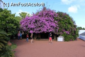 [P71] Insula Sao Miguel, Plantacao de Ananases Dr. Arruda are și flori, nu numai ananași, în dreapta se merge la magazin, în stânga spre sere...  » foto by mprofeanu
 - 
<span class="allrVoted glyphicon glyphicon-heart hidden" id="av1015259"></span>
<a class="m-l-10 hidden" id="sv1015259" onclick="voting_Foto_DelVot(,1015259,12102)" role="button">șterge vot <span class="glyphicon glyphicon-remove"></span></a>
<a id="v91015259" class=" c-red"  onclick="voting_Foto_SetVot(1015259)" role="button"><span class="glyphicon glyphicon-heart-empty"></span> <b>LIKE</b> = Votează poza</a> <img class="hidden"  id="f1015259W9" src="/imagini/loader.gif" border="0" /><span class="AjErrMes hidden" id="e1015259ErM"></span>