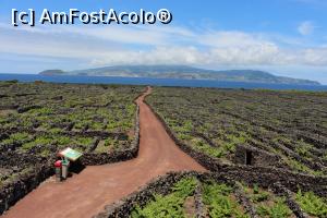 [P25] Insula Pico, Lajido da Criação Velha, Paisagem da Cultura da Vinha, Currais (îngrădituri de piatră, țarcuri) oferă protecție culturilor de viță de vie, în plan secund Insula Faial » foto by mprofeanu
 - 
<span class="allrVoted glyphicon glyphicon-heart hidden" id="av1008483"></span>
<a class="m-l-10 hidden" id="sv1008483" onclick="voting_Foto_DelVot(,1008483,12103)" role="button">șterge vot <span class="glyphicon glyphicon-remove"></span></a>
<a id="v91008483" class=" c-red"  onclick="voting_Foto_SetVot(1008483)" role="button"><span class="glyphicon glyphicon-heart-empty"></span> <b>LIKE</b> = Votează poza</a> <img class="hidden"  id="f1008483W9" src="/imagini/loader.gif" border="0" /><span class="AjErrMes hidden" id="e1008483ErM"></span>