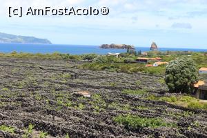 [P26] Insula Pico, Ladijo da Criação Velha, Paisagem da Cultura da Vinha, Cea mai mare rețea de ziduri de piatră, țarcuri și copertine de protecție, construite de oameni, în plan secund în dreapta Cele Două Insule » foto by mprofeanu
 - 
<span class="allrVoted glyphicon glyphicon-heart hidden" id="av1008484"></span>
<a class="m-l-10 hidden" id="sv1008484" onclick="voting_Foto_DelVot(,1008484,12103)" role="button">șterge vot <span class="glyphicon glyphicon-remove"></span></a>
<a id="v91008484" class=" c-red"  onclick="voting_Foto_SetVot(1008484)" role="button"><span class="glyphicon glyphicon-heart-empty"></span> <b>LIKE</b> = Votează poza</a> <img class="hidden"  id="f1008484W9" src="/imagini/loader.gif" border="0" /><span class="AjErrMes hidden" id="e1008484ErM"></span>