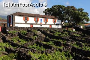 [P72] Insula Pico, Madalena, Museu do Vinho, expoziția specifică culturii viței de vie, partea din spate a frumoasei clădirii » foto by mprofeanu
 - 
<span class="allrVoted glyphicon glyphicon-heart hidden" id="av1008545"></span>
<a class="m-l-10 hidden" id="sv1008545" onclick="voting_Foto_DelVot(,1008545,12103)" role="button">șterge vot <span class="glyphicon glyphicon-remove"></span></a>
<a id="v91008545" class=" c-red"  onclick="voting_Foto_SetVot(1008545)" role="button"><span class="glyphicon glyphicon-heart-empty"></span> <b>LIKE</b> = Votează poza</a> <img class="hidden"  id="f1008545W9" src="/imagini/loader.gif" border="0" /><span class="AjErrMes hidden" id="e1008545ErM"></span>