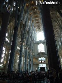 [P17] interior Sagrada Familia » foto by station5*
 - 
<span class="allrVoted glyphicon glyphicon-heart hidden" id="av255626"></span>
<a class="m-l-10 hidden" id="sv255626" onclick="voting_Foto_DelVot(,255626,12198)" role="button">șterge vot <span class="glyphicon glyphicon-remove"></span></a>
<a id="v9255626" class=" c-red"  onclick="voting_Foto_SetVot(255626)" role="button"><span class="glyphicon glyphicon-heart-empty"></span> <b>LIKE</b> = Votează poza</a> <img class="hidden"  id="f255626W9" src="/imagini/loader.gif" border="0" /><span class="AjErrMes hidden" id="e255626ErM"></span>