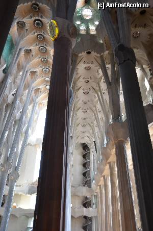 [P50] Sagrada Familia, coloanele inspirate dupa arborii Sequia » foto by Muffin2009
 - 
<span class="allrVoted glyphicon glyphicon-heart hidden" id="av352233"></span>
<a class="m-l-10 hidden" id="sv352233" onclick="voting_Foto_DelVot(,352233,12198)" role="button">șterge vot <span class="glyphicon glyphicon-remove"></span></a>
<a id="v9352233" class=" c-red"  onclick="voting_Foto_SetVot(352233)" role="button"><span class="glyphicon glyphicon-heart-empty"></span> <b>LIKE</b> = Votează poza</a> <img class="hidden"  id="f352233W9" src="/imagini/loader.gif" border="0" /><span class="AjErrMes hidden" id="e352233ErM"></span>