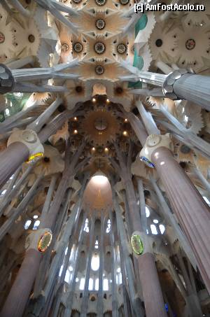 [P54] Sagrada Familia, Naosul » foto by Muffin2009
 - 
<span class="allrVoted glyphicon glyphicon-heart hidden" id="av352238"></span>
<a class="m-l-10 hidden" id="sv352238" onclick="voting_Foto_DelVot(,352238,12198)" role="button">șterge vot <span class="glyphicon glyphicon-remove"></span></a>
<a id="v9352238" class=" c-red"  onclick="voting_Foto_SetVot(352238)" role="button"><span class="glyphicon glyphicon-heart-empty"></span> <b>LIKE</b> = Votează poza</a> <img class="hidden"  id="f352238W9" src="/imagini/loader.gif" border="0" /><span class="AjErrMes hidden" id="e352238ErM"></span>