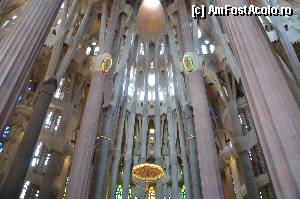 [P55] Sagrada Familia, coloanele inspirate dupa arborii Sequia » foto by Muffin2009
 - 
<span class="allrVoted glyphicon glyphicon-heart hidden" id="av352239"></span>
<a class="m-l-10 hidden" id="sv352239" onclick="voting_Foto_DelVot(,352239,12198)" role="button">șterge vot <span class="glyphicon glyphicon-remove"></span></a>
<a id="v9352239" class=" c-red"  onclick="voting_Foto_SetVot(352239)" role="button"><span class="glyphicon glyphicon-heart-empty"></span> <b>LIKE</b> = Votează poza</a> <img class="hidden"  id="f352239W9" src="/imagini/loader.gif" border="0" /><span class="AjErrMes hidden" id="e352239ErM"></span>