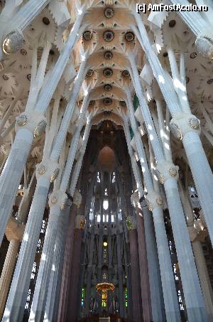 [P62] Sagrada Familia, Naosul » foto by Muffin2009
 - 
<span class="allrVoted glyphicon glyphicon-heart hidden" id="av352246"></span>
<a class="m-l-10 hidden" id="sv352246" onclick="voting_Foto_DelVot(,352246,12198)" role="button">șterge vot <span class="glyphicon glyphicon-remove"></span></a>
<a id="v9352246" class=" c-red"  onclick="voting_Foto_SetVot(352246)" role="button"><span class="glyphicon glyphicon-heart-empty"></span> <b>LIKE</b> = Votează poza</a> <img class="hidden"  id="f352246W9" src="/imagini/loader.gif" border="0" /><span class="AjErrMes hidden" id="e352246ErM"></span>