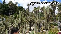 [P65] Grădinile de cactuşi Mossen Costa i Llobera » foto by nickro
 - 
<span class="allrVoted glyphicon glyphicon-heart hidden" id="av335631"></span>
<a class="m-l-10 hidden" id="sv335631" onclick="voting_Foto_DelVot(,335631,12198)" role="button">șterge vot <span class="glyphicon glyphicon-remove"></span></a>
<a id="v9335631" class=" c-red"  onclick="voting_Foto_SetVot(335631)" role="button"><span class="glyphicon glyphicon-heart-empty"></span> <b>LIKE</b> = Votează poza</a> <img class="hidden"  id="f335631W9" src="/imagini/loader.gif" border="0" /><span class="AjErrMes hidden" id="e335631ErM"></span>