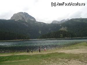 [P04] Durmitor Parc » foto by marocanu21
 - 
<span class="allrVoted glyphicon glyphicon-heart hidden" id="av352537"></span>
<a class="m-l-10 hidden" id="sv352537" onclick="voting_Foto_DelVot(,352537,12370)" role="button">șterge vot <span class="glyphicon glyphicon-remove"></span></a>
<a id="v9352537" class=" c-red"  onclick="voting_Foto_SetVot(352537)" role="button"><span class="glyphicon glyphicon-heart-empty"></span> <b>LIKE</b> = Votează poza</a> <img class="hidden"  id="f352537W9" src="/imagini/loader.gif" border="0" /><span class="AjErrMes hidden" id="e352537ErM"></span>