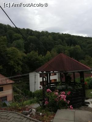 [P14] Vedere spre stradă » foto by cris1982
 - 
<span class="allrVoted glyphicon glyphicon-heart hidden" id="av1491450"></span>
<a class="m-l-10 hidden" id="sv1491450" onclick="voting_Foto_DelVot(,1491450,12564)" role="button">șterge vot <span class="glyphicon glyphicon-remove"></span></a>
<a id="v91491450" class=" c-red"  onclick="voting_Foto_SetVot(1491450)" role="button"><span class="glyphicon glyphicon-heart-empty"></span> <b>LIKE</b> = Votează poza</a> <img class="hidden"  id="f1491450W9" src="/imagini/loader.gif" border="0" /><span class="AjErrMes hidden" id="e1491450ErM"></span>