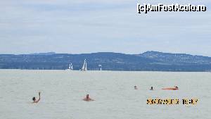 [P16] Lacul Balaton, 'Marea Ungariei' » foto by crismis
 - 
<span class="allrVoted glyphicon glyphicon-heart hidden" id="av655194"></span>
<a class="m-l-10 hidden" id="sv655194" onclick="voting_Foto_DelVot(,655194,12619)" role="button">șterge vot <span class="glyphicon glyphicon-remove"></span></a>
<a id="v9655194" class=" c-red"  onclick="voting_Foto_SetVot(655194)" role="button"><span class="glyphicon glyphicon-heart-empty"></span> <b>LIKE</b> = Votează poza</a> <img class="hidden"  id="f655194W9" src="/imagini/loader.gif" border="0" /><span class="AjErrMes hidden" id="e655194ErM"></span>