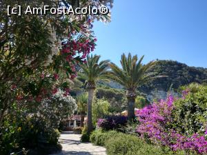 P01 [JUN-2019] Giardini Poseidon, alee imediat după intrare. 