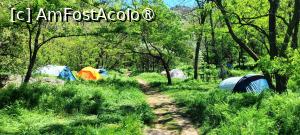 [P04] Campingul de lângă mănăstire. » foto by tata123 🔱
 - 
<span class="allrVoted glyphicon glyphicon-heart hidden" id="av1483405"></span>
<a class="m-l-10 hidden" id="sv1483405" onclick="voting_Foto_DelVot(,1483405,12680)" role="button">șterge vot <span class="glyphicon glyphicon-remove"></span></a>
<a id="v91483405" class=" c-red"  onclick="voting_Foto_SetVot(1483405)" role="button"><span class="glyphicon glyphicon-heart-empty"></span> <b>LIKE</b> = Votează poza</a> <img class="hidden"  id="f1483405W9" src="/imagini/loader.gif" border="0" /><span class="AjErrMes hidden" id="e1483405ErM"></span>