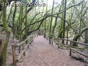 [P20] La Gomera - Traseu în Parque Nacional Garajonay. » foto by iulianic
 - 
<span class="allrVoted glyphicon glyphicon-heart hidden" id="av1437729"></span>
<a class="m-l-10 hidden" id="sv1437729" onclick="voting_Foto_DelVot(,1437729,12735)" role="button">șterge vot <span class="glyphicon glyphicon-remove"></span></a>
<a id="v91437729" class=" c-red"  onclick="voting_Foto_SetVot(1437729)" role="button"><span class="glyphicon glyphicon-heart-empty"></span> <b>LIKE</b> = Votează poza</a> <img class="hidden"  id="f1437729W9" src="/imagini/loader.gif" border="0" /><span class="AjErrMes hidden" id="e1437729ErM"></span>