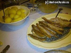 [P07] Se mananca foarte mult porc si foarte multi cartofi in aceasta zona a Danemarcei.  » foto by alinaro
 - 
<span class="allrVoted glyphicon glyphicon-heart hidden" id="av378742"></span>
<a class="m-l-10 hidden" id="sv378742" onclick="voting_Foto_DelVot(,378742,12754)" role="button">șterge vot <span class="glyphicon glyphicon-remove"></span></a>
<a id="v9378742" class=" c-red"  onclick="voting_Foto_SetVot(378742)" role="button"><span class="glyphicon glyphicon-heart-empty"></span> <b>LIKE</b> = Votează poza</a> <img class="hidden"  id="f378742W9" src="/imagini/loader.gif" border="0" /><span class="AjErrMes hidden" id="e378742ErM"></span>
