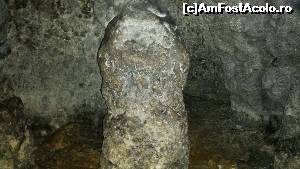 [P19] Peștera Dâmbovicioara - stalagmită » foto by costy69*
 - 
<span class="allrVoted glyphicon glyphicon-heart hidden" id="av655891"></span>
<a class="m-l-10 hidden" id="sv655891" onclick="voting_Foto_DelVot(,655891,12765)" role="button">șterge vot <span class="glyphicon glyphicon-remove"></span></a>
<a id="v9655891" class=" c-red"  onclick="voting_Foto_SetVot(655891)" role="button"><span class="glyphicon glyphicon-heart-empty"></span> <b>LIKE</b> = Votează poza</a> <img class="hidden"  id="f655891W9" src="/imagini/loader.gif" border="0" /><span class="AjErrMes hidden" id="e655891ErM"></span>