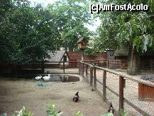 [P114] Grădina Zoologică Budapesta - Hungarian Farmyard. » foto by creivean
 - 
<span class="allrVoted glyphicon glyphicon-heart hidden" id="av131879"></span>
<a class="m-l-10 hidden" id="sv131879" onclick="voting_Foto_DelVot(,131879,12774)" role="button">șterge vot <span class="glyphicon glyphicon-remove"></span></a>
<a id="v9131879" class=" c-red"  onclick="voting_Foto_SetVot(131879)" role="button"><span class="glyphicon glyphicon-heart-empty"></span> <b>LIKE</b> = Votează poza</a> <img class="hidden"  id="f131879W9" src="/imagini/loader.gif" border="0" /><span class="AjErrMes hidden" id="e131879ErM"></span>