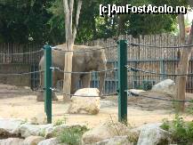 [P32] Grădina Zoologică Budapesta - teritoriul elefanţilor. » foto by creivean
 - 
<span class="allrVoted glyphicon glyphicon-heart hidden" id="av131355"></span>
<a class="m-l-10 hidden" id="sv131355" onclick="voting_Foto_DelVot(,131355,12774)" role="button">șterge vot <span class="glyphicon glyphicon-remove"></span></a>
<a id="v9131355" class=" c-red"  onclick="voting_Foto_SetVot(131355)" role="button"><span class="glyphicon glyphicon-heart-empty"></span> <b>LIKE</b> = Votează poza</a> <img class="hidden"  id="f131355W9" src="/imagini/loader.gif" border="0" /><span class="AjErrMes hidden" id="e131355ErM"></span>