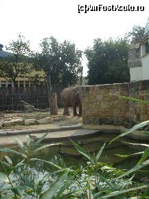 [P34] Grădina Zoologică Budapesta - pe teritoriul elefanţilor, există şi o construcţie pentru anotimpul rece. » foto by creivean
 - 
<span class="allrVoted glyphicon glyphicon-heart hidden" id="av131357"></span>
<a class="m-l-10 hidden" id="sv131357" onclick="voting_Foto_DelVot(,131357,12774)" role="button">șterge vot <span class="glyphicon glyphicon-remove"></span></a>
<a id="v9131357" class=" c-red"  onclick="voting_Foto_SetVot(131357)" role="button"><span class="glyphicon glyphicon-heart-empty"></span> <b>LIKE</b> = Votează poza</a> <img class="hidden"  id="f131357W9" src="/imagini/loader.gif" border="0" /><span class="AjErrMes hidden" id="e131357ErM"></span>