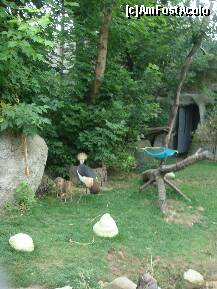 [P87] Grădina Zoologică Budapesta. » foto by creivean
 - 
<span class="allrVoted glyphicon glyphicon-heart hidden" id="av131843"></span>
<a class="m-l-10 hidden" id="sv131843" onclick="voting_Foto_DelVot(,131843,12774)" role="button">șterge vot <span class="glyphicon glyphicon-remove"></span></a>
<a id="v9131843" class=" c-red"  onclick="voting_Foto_SetVot(131843)" role="button"><span class="glyphicon glyphicon-heart-empty"></span> <b>LIKE</b> = Votează poza</a> <img class="hidden"  id="f131843W9" src="/imagini/loader.gif" border="0" /><span class="AjErrMes hidden" id="e131843ErM"></span>