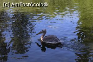 [P33]  -- <small>// FĂRĂ DESCRIERE</small> » foto by mont
 - 
<span class="allrVoted glyphicon glyphicon-heart hidden" id="av1511781"></span>
<a class="m-l-10 hidden" id="sv1511781" onclick="voting_Foto_DelVot(,1511781,12774)" role="button">șterge vot <span class="glyphicon glyphicon-remove"></span></a>
<a id="v91511781" class=" c-red"  onclick="voting_Foto_SetVot(1511781)" role="button"><span class="glyphicon glyphicon-heart-empty"></span> <b>LIKE</b> = Votează poza</a> <img class="hidden"  id="f1511781W9" src="/imagini/loader.gif" border="0" /><span class="AjErrMes hidden" id="e1511781ErM"></span>