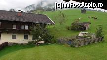 [P14] Haus Plattenbauer [Kaprun] - şi pensiunea vecină tot o fermă este :)  » foto by Dragoș_MD
 - 
<span class="allrVoted glyphicon glyphicon-heart hidden" id="av372381"></span>
<a class="m-l-10 hidden" id="sv372381" onclick="voting_Foto_DelVot(,372381,12778)" role="button">șterge vot <span class="glyphicon glyphicon-remove"></span></a>
<a id="v9372381" class=" c-red"  onclick="voting_Foto_SetVot(372381)" role="button"><span class="glyphicon glyphicon-heart-empty"></span> <b>LIKE</b> = Votează poza</a> <img class="hidden"  id="f372381W9" src="/imagini/loader.gif" border="0" /><span class="AjErrMes hidden" id="e372381ErM"></span>