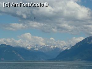 [P17] Lacul Leman, Munţii Alpi şi un pescăruş » foto by Marius 72
 - 
<span class="allrVoted glyphicon glyphicon-heart hidden" id="av823812"></span>
<a class="m-l-10 hidden" id="sv823812" onclick="voting_Foto_DelVot(,823812,12948)" role="button">șterge vot <span class="glyphicon glyphicon-remove"></span></a>
<a id="v9823812" class=" c-red"  onclick="voting_Foto_SetVot(823812)" role="button"><span class="glyphicon glyphicon-heart-empty"></span> <b>LIKE</b> = Votează poza</a> <img class="hidden"  id="f823812W9" src="/imagini/loader.gif" border="0" /><span class="AjErrMes hidden" id="e823812ErM"></span>