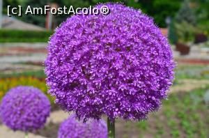 [P11] Gradina Botanica » foto by ancutza26
 - 
<span class="allrVoted glyphicon glyphicon-heart hidden" id="av751108"></span>
<a class="m-l-10 hidden" id="sv751108" onclick="voting_Foto_DelVot(,751108,13043)" role="button">șterge vot <span class="glyphicon glyphicon-remove"></span></a>
<a id="v9751108" class=" c-red"  onclick="voting_Foto_SetVot(751108)" role="button"><span class="glyphicon glyphicon-heart-empty"></span> <b>LIKE</b> = Votează poza</a> <img class="hidden"  id="f751108W9" src="/imagini/loader.gif" border="0" /><span class="AjErrMes hidden" id="e751108ErM"></span>