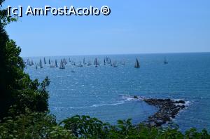 [P13] Gradina Botanica » foto by ancutza26
 - 
<span class="allrVoted glyphicon glyphicon-heart hidden" id="av751112"></span>
<a class="m-l-10 hidden" id="sv751112" onclick="voting_Foto_DelVot(,751112,13043)" role="button">șterge vot <span class="glyphicon glyphicon-remove"></span></a>
<a id="v9751112" class=" c-red"  onclick="voting_Foto_SetVot(751112)" role="button"><span class="glyphicon glyphicon-heart-empty"></span> <b>LIKE</b> = Votează poza</a> <img class="hidden"  id="f751112W9" src="/imagini/loader.gif" border="0" /><span class="AjErrMes hidden" id="e751112ErM"></span>