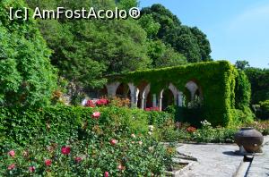 [P15]  -- <small>// FĂRĂ DESCRIERE</small> » foto by ancutza26
 - 
<span class="allrVoted glyphicon glyphicon-heart hidden" id="av751114"></span>
<a class="m-l-10 hidden" id="sv751114" onclick="voting_Foto_DelVot(,751114,13043)" role="button">șterge vot <span class="glyphicon glyphicon-remove"></span></a>
<a id="v9751114" class=" c-red"  onclick="voting_Foto_SetVot(751114)" role="button"><span class="glyphicon glyphicon-heart-empty"></span> <b>LIKE</b> = Votează poza</a> <img class="hidden"  id="f751114W9" src="/imagini/loader.gif" border="0" /><span class="AjErrMes hidden" id="e751114ErM"></span>