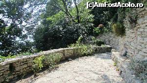 [P38] Prin 'labirint' » foto by crismis
 - 
<span class="allrVoted glyphicon glyphicon-heart hidden" id="av705222"></span>
<a class="m-l-10 hidden" id="sv705222" onclick="voting_Foto_DelVot(,705222,13043)" role="button">șterge vot <span class="glyphicon glyphicon-remove"></span></a>
<a id="v9705222" class=" c-red"  onclick="voting_Foto_SetVot(705222)" role="button"><span class="glyphicon glyphicon-heart-empty"></span> <b>LIKE</b> = Votează poza</a> <img class="hidden"  id="f705222W9" src="/imagini/loader.gif" border="0" /><span class="AjErrMes hidden" id="e705222ErM"></span>