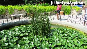 [P04] Grădina Botanică, Balcic » foto by crismis
 - 
<span class="allrVoted glyphicon glyphicon-heart hidden" id="av705188"></span>
<a class="m-l-10 hidden" id="sv705188" onclick="voting_Foto_DelVot(,705188,13043)" role="button">șterge vot <span class="glyphicon glyphicon-remove"></span></a>
<a id="v9705188" class=" c-red"  onclick="voting_Foto_SetVot(705188)" role="button"><span class="glyphicon glyphicon-heart-empty"></span> <b>LIKE</b> = Votează poza</a> <img class="hidden"  id="f705188W9" src="/imagini/loader.gif" border="0" /><span class="AjErrMes hidden" id="e705188ErM"></span>