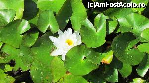 [P40]  -- <small>// FĂRĂ DESCRIERE</small> » foto by crismis
 - 
<span class="allrVoted glyphicon glyphicon-heart hidden" id="av705224"></span>
<a class="m-l-10 hidden" id="sv705224" onclick="voting_Foto_DelVot(,705224,13043)" role="button">șterge vot <span class="glyphicon glyphicon-remove"></span></a>
<a id="v9705224" class=" c-red"  onclick="voting_Foto_SetVot(705224)" role="button"><span class="glyphicon glyphicon-heart-empty"></span> <b>LIKE</b> = Votează poza</a> <img class="hidden"  id="f705224W9" src="/imagini/loader.gif" border="0" /><span class="AjErrMes hidden" id="e705224ErM"></span>