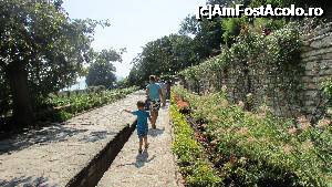 [P43] Aleea Crinilor Regali » foto by crismis
 - 
<span class="allrVoted glyphicon glyphicon-heart hidden" id="av705227"></span>
<a class="m-l-10 hidden" id="sv705227" onclick="voting_Foto_DelVot(,705227,13043)" role="button">șterge vot <span class="glyphicon glyphicon-remove"></span></a>
<a id="v9705227" class=" c-red"  onclick="voting_Foto_SetVot(705227)" role="button"><span class="glyphicon glyphicon-heart-empty"></span> <b>LIKE</b> = Votează poza</a> <img class="hidden"  id="f705227W9" src="/imagini/loader.gif" border="0" /><span class="AjErrMes hidden" id="e705227ErM"></span>